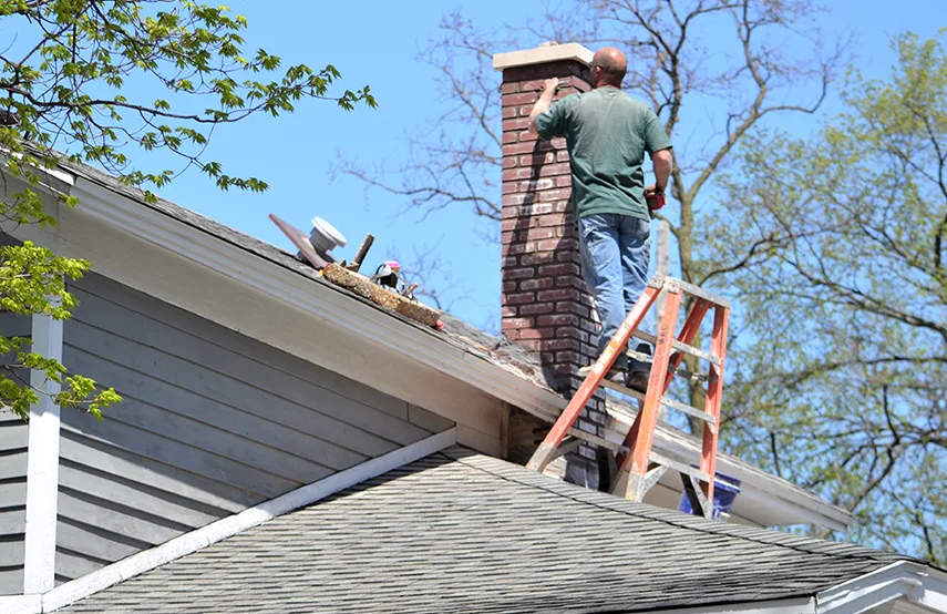 Chimney & Fireplace Inspections Services in Decatur, IL